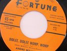 ANDRE WILLIAMS Didlee Womp bw Just Because Of A Kiss 45 FORTUNE 831 NM RARE