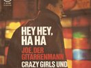 crazy girls und die javalins:  coverversion    RAR