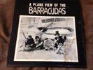 The Barracudas ?– A Plane View Of The Barracudas-Orig 1966 Garage Monster SIGNED