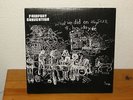 LP  Fairport Convention - What We Did On Our Holidays  180 g Vinyl