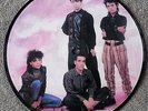 etat neuf   Indochine picture disc 45t canary bay