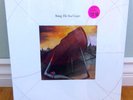 STING The Soul Cages Original 1991 Vinyl LP A&M Records - Still Sealed