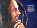 LP Bob Marley & The Wailers Natural Mystic (The Legend Lives On) NEAR MINT