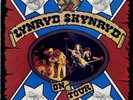 Lynyrd Skynyrd Steve Gibbons Band 1976 Programme