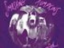 The Smashing Pumpkins - Gish LP - 180G RM Vinyl Record 2011 Virgin