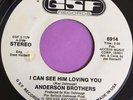 Northern/Rare Soul 45 Anderson Brothers-I can see you loving him-GSF WD Reissue