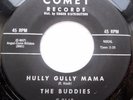 The Buddies R&R R&B garage COMET 45 Must Be True Love / Hully Gully Momma F3039