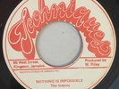 THE INTERNS - NOTHING IS IMPOSSIBLE - TECHNIQUES ( ROOTS REGGAE 7 )