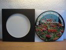 ACID MOTHERS TEMPLE - 41st CENTURY SPLENDID MAN 2002 RARE PICTURE DISC IN NM