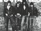 THE RAMONES   DEBUT ALBUM { NEW 180g VINYL }
