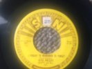 ELVIS PRESLEY MYSTERY TRAIN SUN