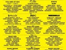 reading festival 2017 - sunday ticket only