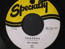 ECHOES: Over The Rainbow / Someone 45 (Darlene Love) Vocal Groups
