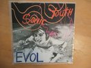 Sonic Youth-Evol-Original SST-Big Black-The Fall-Butthole Surfers-Glenn Branca