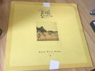 POND - BEARD WIVES DENIM (2LP) 2 VINYL LP