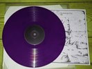 INTEGRITY Europe LP OOP /PURPLE snapcase converge bane earth crisis quicksand