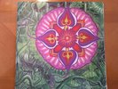 S.T. Mikael ?Soul Flower 2LP Double vinyl Xotic Mind Sweden 1996 XMLP11 NEW