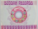 FLAMIN’ GROOVIES - Have You Seen My Baby 45 - KAMA SUTRA 1971 GARAGE psych MINT