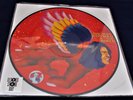 DAVID BOWIE...THE MAN WHO SOLD THE WORLD...RECORD STORE DAY ...PICTURE DISC
