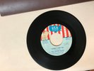 ROCK 45 RPM RECORD - THE CHERRY SLUSH - USA 896