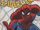 The Amazing Spiderman - 'From Beyond The Grave'  UK Picture Disc LP gatefold Ex