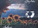 33T.  SIGUR ROS    