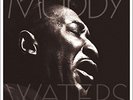 MUDDY WATERS - MANNISH BOY/BEST OF MUDDY WATERS 2 VINYL LP NEU
