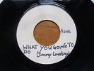 Good Relations ft Jimmy Lindsey - What You Gonna Do 1970s UK 45 ROOTS BLANK