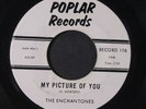 ENCHANTONES: My Picture Of You / We Fell In Love 45 (wol) rare Vocal Groups