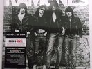 Ramones - The Ramones LP Record - BRAND NEW - 180 Gram Vinyl