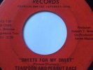 RARE BLUE EYED SOUL GARAGE 45/ TEASPOON & PEANUT RACE 