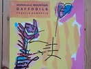Honolulu Mountain Daffodils Tequila Dementia LP Adrian Borland Sound Post Punk