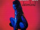 Black Box Dreamland NEAR MINT Polydor Vinyl LP