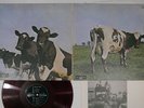 PINK FLOYD ATOM HEART MOTHER ODEON OP-80102 Japan Red Vinyl LP