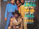 S.O.U.L. - 'What is it?' Music Records LP 1971 - MS 3195 Excellent condition
