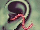 Thee Oh Sees- An Odd Entrances Ltd Vinyl - Blood Orange + Flexi