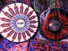 SCARCE 1970 Orig THE GOGGLES = LOOKING THROUGH COLOR GOGGLES Sunshine POP psych