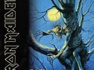 IRON MAIDEN - Fear Of The Dark / 2 LP's / 180g / Remastered 2017 / NEU in OVP