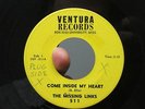 The Missing Links 45 Garage Frat Ventura Records 511 Oxford  Ole Miss Band 1965