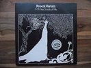 PROCOL HARUM - A WHITER SHADE OF PALE / SALTY DOG - 2 LP - NM VINYL - TOOFA 7