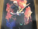 David Gilmour Pompeii Lithograph Limited Edition Live 2016 Rattle That Lock