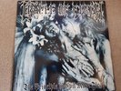 Cradle Of Filth 
