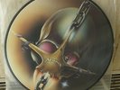 Metallica Wherever We May Roam Tour 91/92 Picture disc