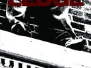 Ledge - Cold Hard Concrete
