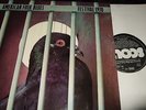 SONNY TERRY/WILLIE DIXON ETC : AMERICAN FOLK BLUES FESTIVAL 1970 2LP 1971 SCOUT