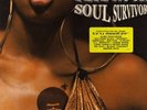 Pete Rock - Soul Survivor '98 2xLP US ORG  Large Professor Grap Luva