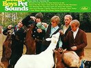 Beach Boys - Pet Sounds 2 x 45 RPM Vinyl LP 200 Gram - Audiophile limited