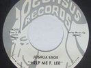 Psych Folk 45 - Joshua Sage - Help Me F. Lee - Pegasus - VG++ mp3 - unknown?