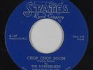 Doo-Wop R&B 45 - Danderliers - Chop Chop Boom/My Autumn Love - States - mp3