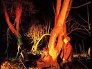 Echo And The Bunnymen ?– Crocodiles Vinyl 2LP Inc LE Hardback Book NEW